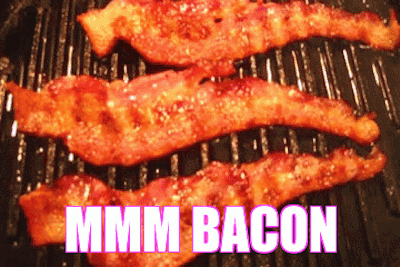 bacon frying in a pan with the caption "mmm bacon"